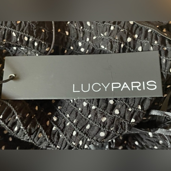 NWT Lucy Paris Dorothy dress - Picture 7 of 8